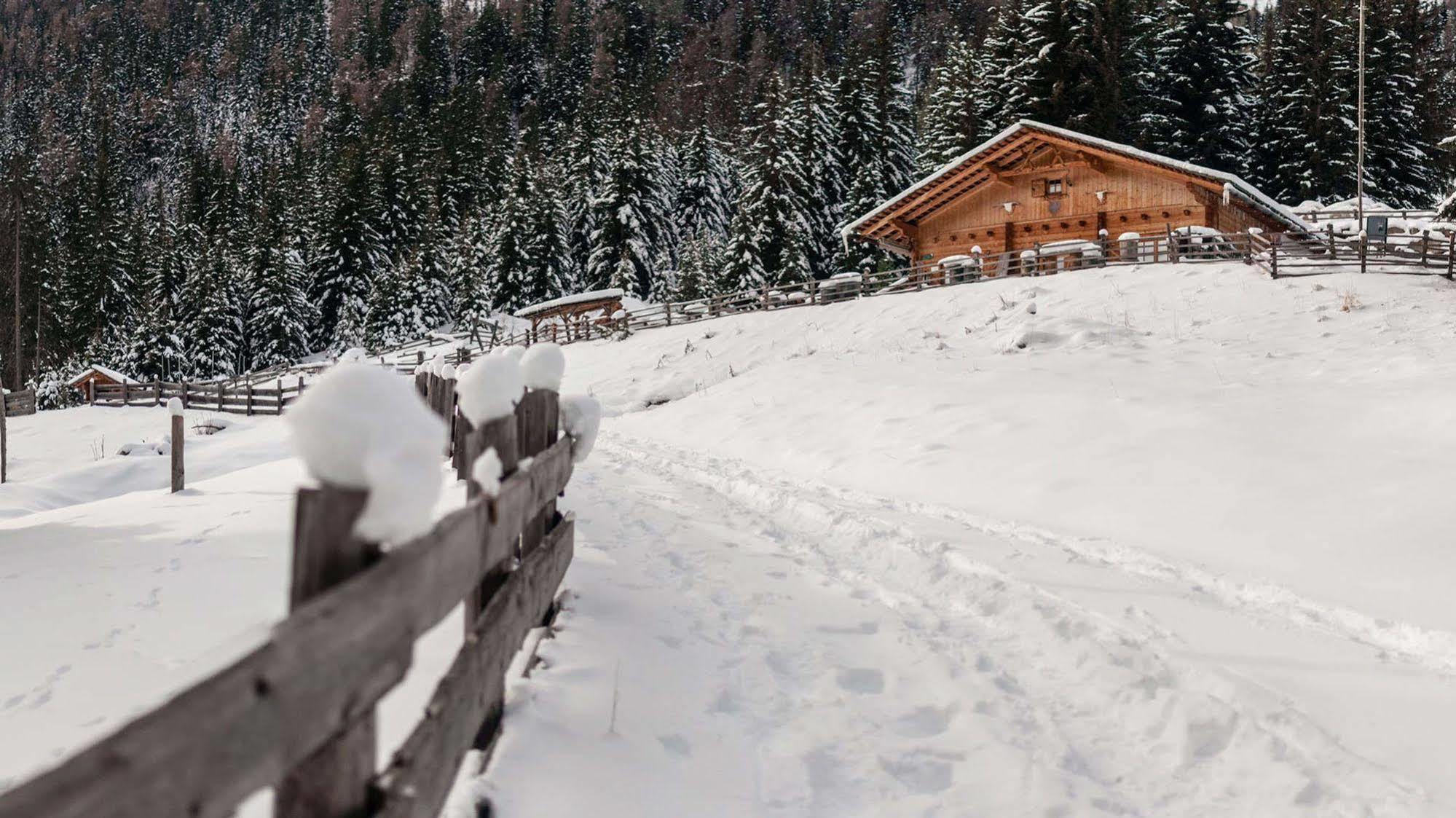 La Casies Mountain Hotel Santa Maddalena Exterior photo