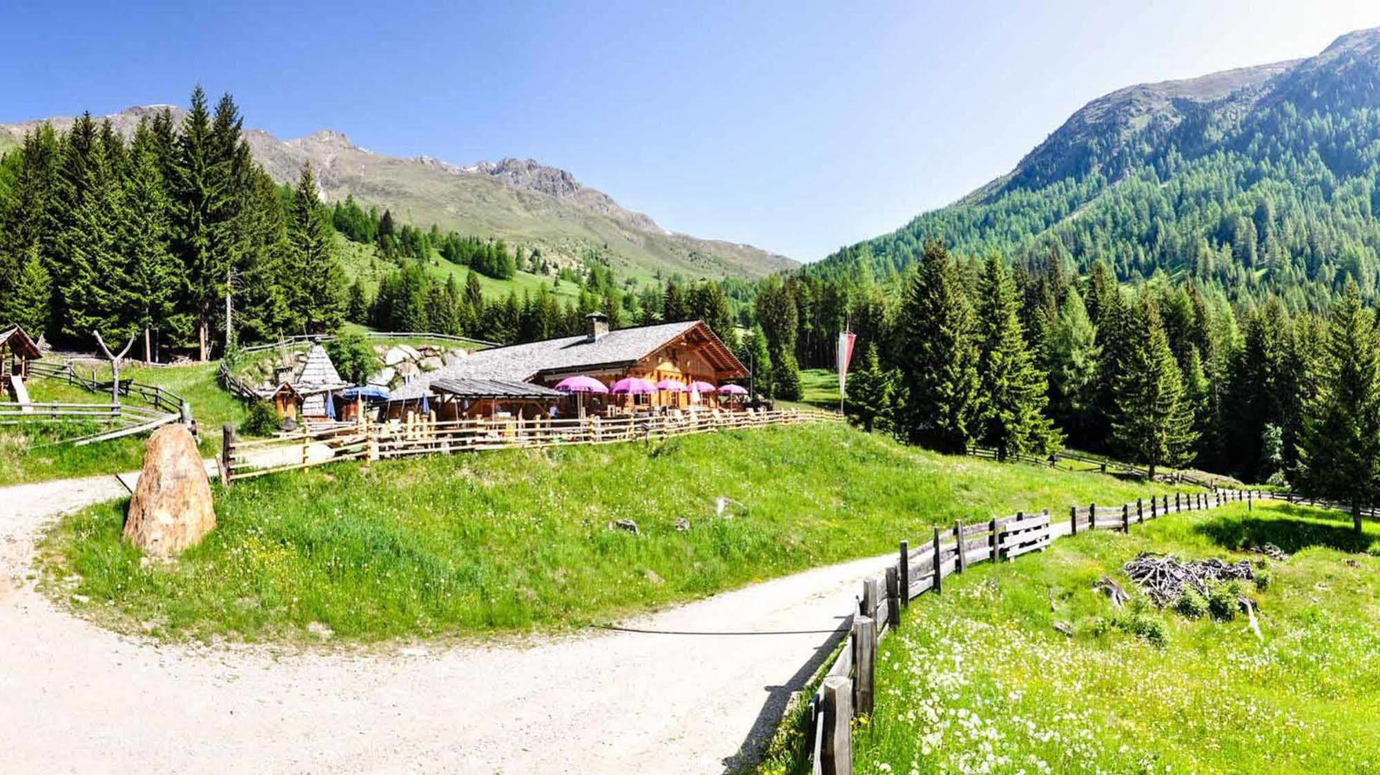 La Casies Mountain Hotel Santa Maddalena Exterior photo